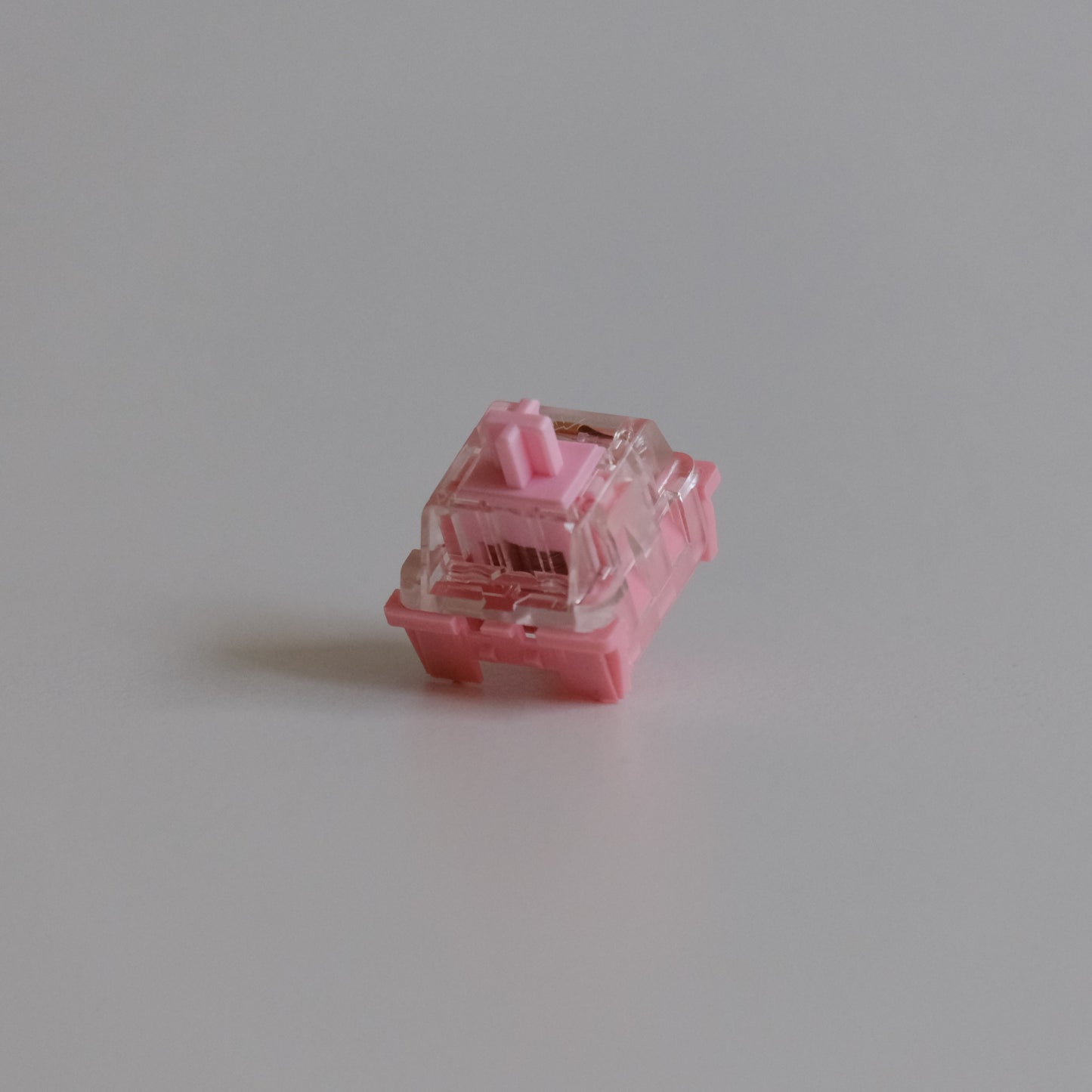 KTT Rose Switches (X10)